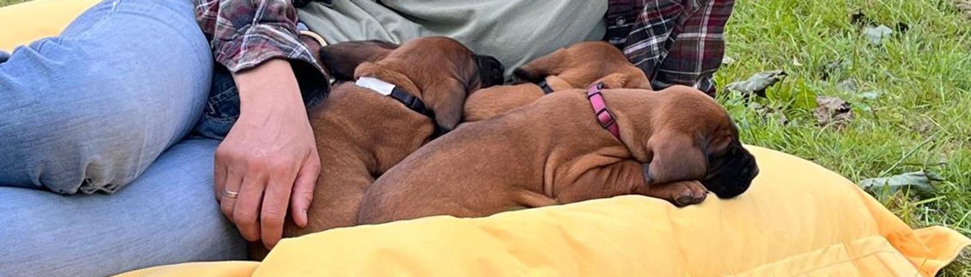 Tatjana mit den Hunden