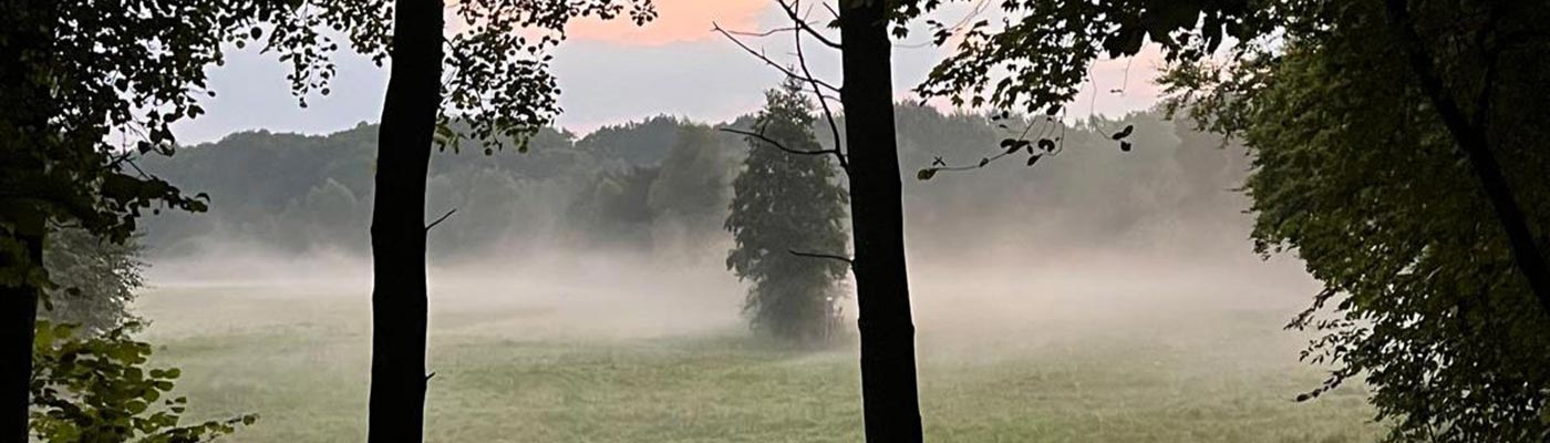 Landschaft im Nebel